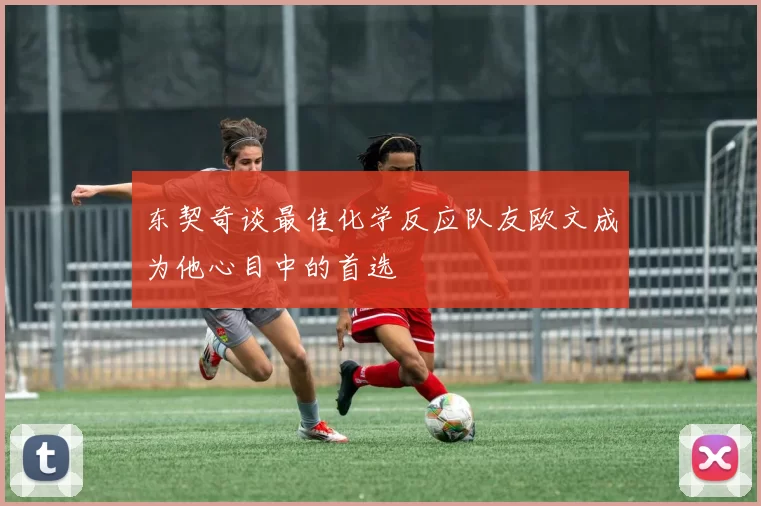 东契奇谈最佳化学反应队友欧文成为他心目中的首选